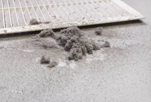 Best Commercial HVAC Duct Cleaning  in Palm Harbor, FL