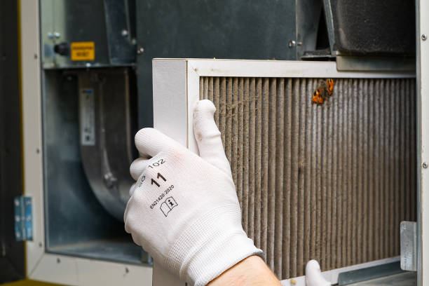 Best Air Duct Cleaning Near Me  in Palm Harbor, FL