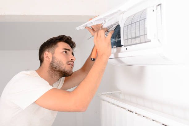 Best Ductwork Cleaning Services  in Palm Harbor, FL
