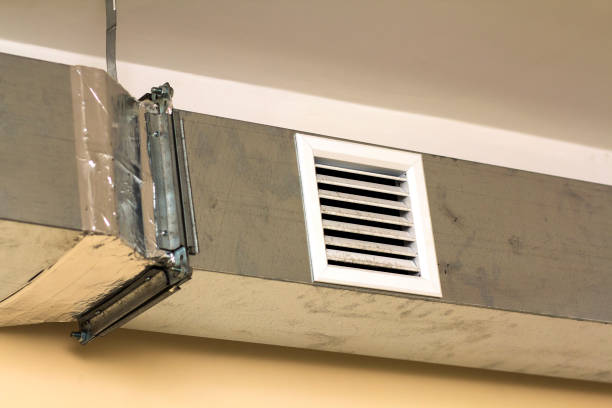 Best Air Vent Cleaning Services  in Palm Harbor, FL